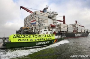 Greenpeace timber01